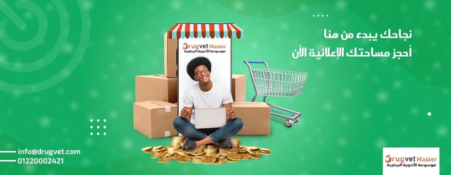 النشرة الإخبارية
